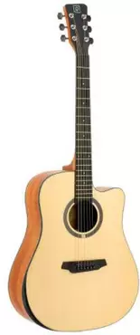 QGA-100C SOLID NAT (NO PREAMP)