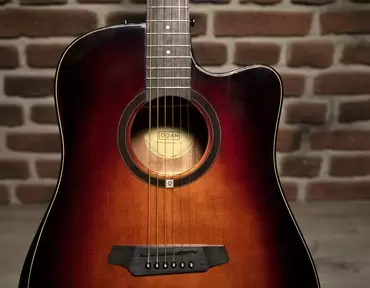 QGA-100CE SBG (PREAMP)