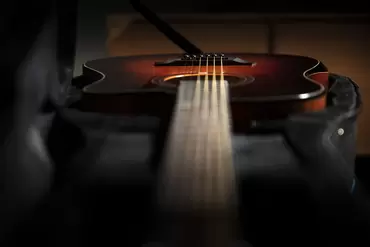 QGA-100CE SBG (PREAMP)