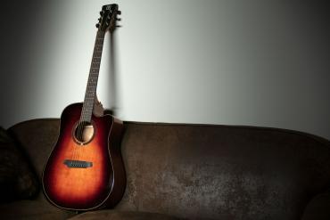 QGA-100CE SBG (PREAMP)