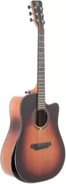 QGA-100CE SBG (PREAMP)