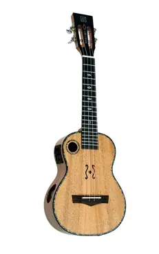 QUK-ARAWAK CONCERT CE