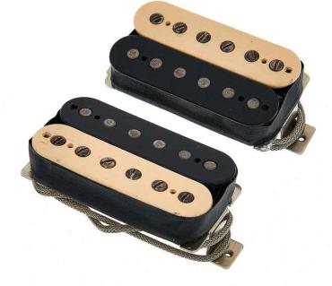 BONAMASSA AMOS ZEBRA SET