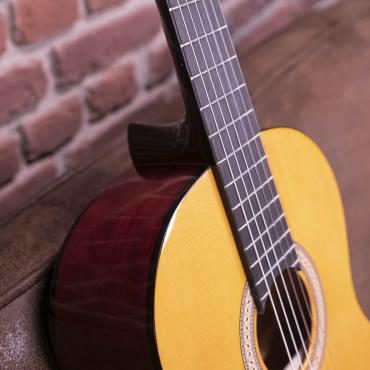 WAN350W STANDARD 300