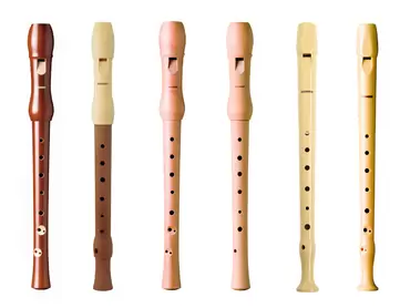 PACK FLAUTAS TOP VENTAS HOHNER 30 UDS