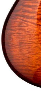 DGT BLACK GOLD BURST