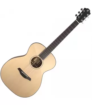 BLUE PLUS OM-SW HI POLISH EAS-VTC