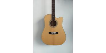 GUIT ACUST PURE-DCF NS W/BAG