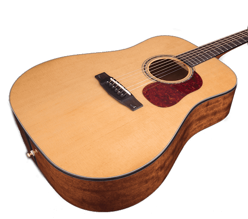 GOLD-D6 NAT +FUNDA SEMIRRIGIDA