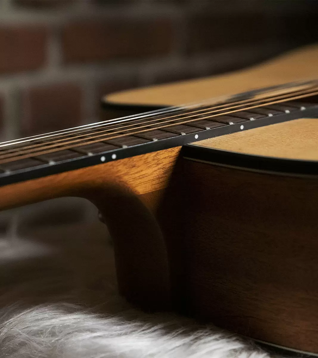 QGA-100 CE SOLID NAT (PREAMP)