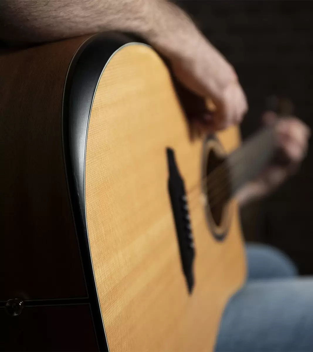 QGA-100 CE SOLID NAT (PREAMP)