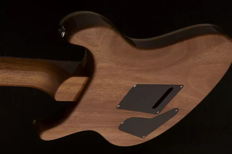 CUSTOM 22 ORANGE TIGER