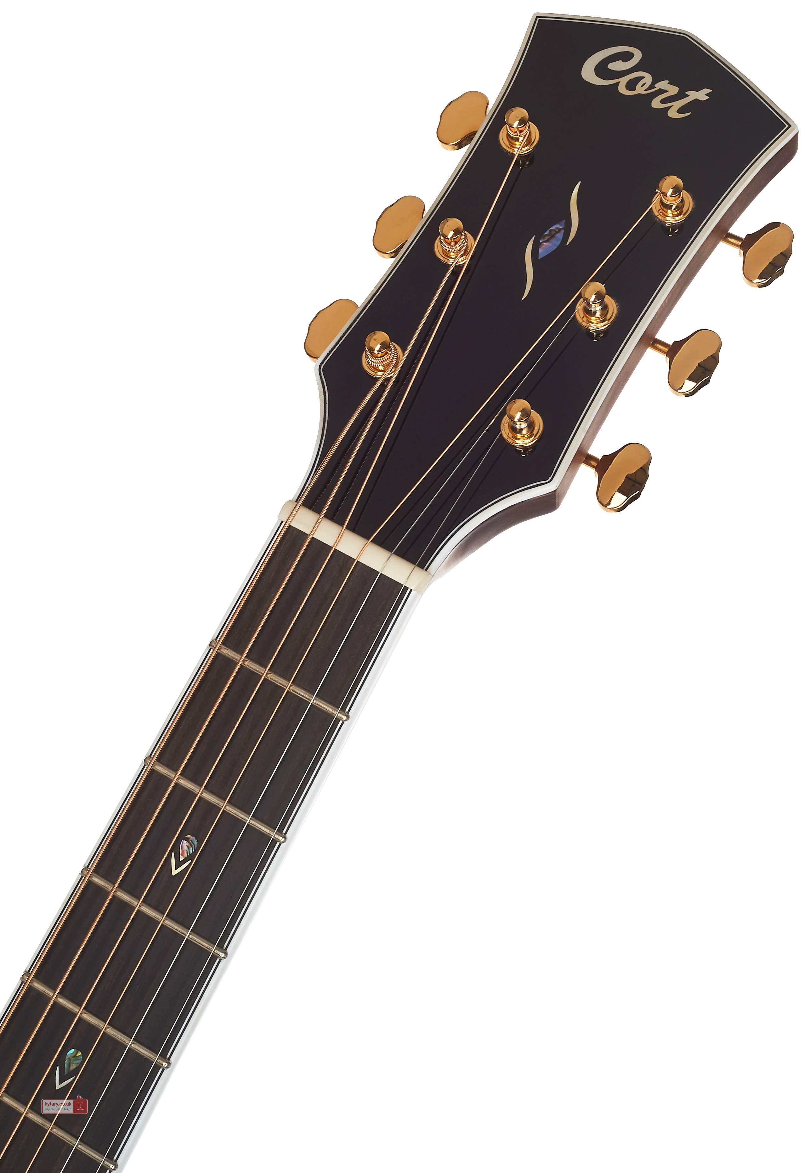 GOLD-D8 LB LIGHT BURST