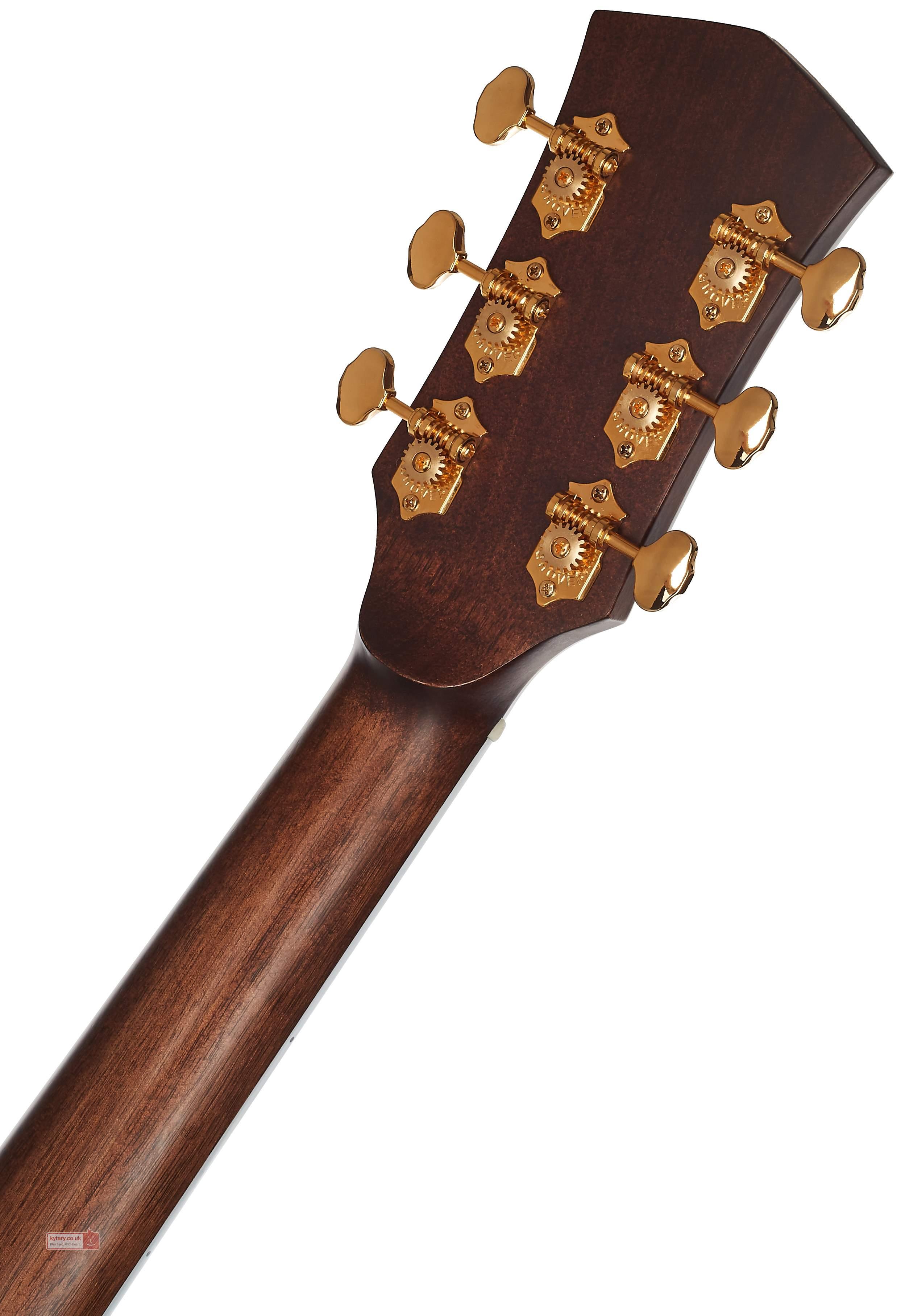 GOLD-D8 LB LIGHT BURST