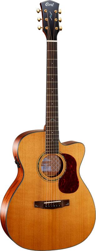 GOLD-OC6 ELECT NAT GLOSS