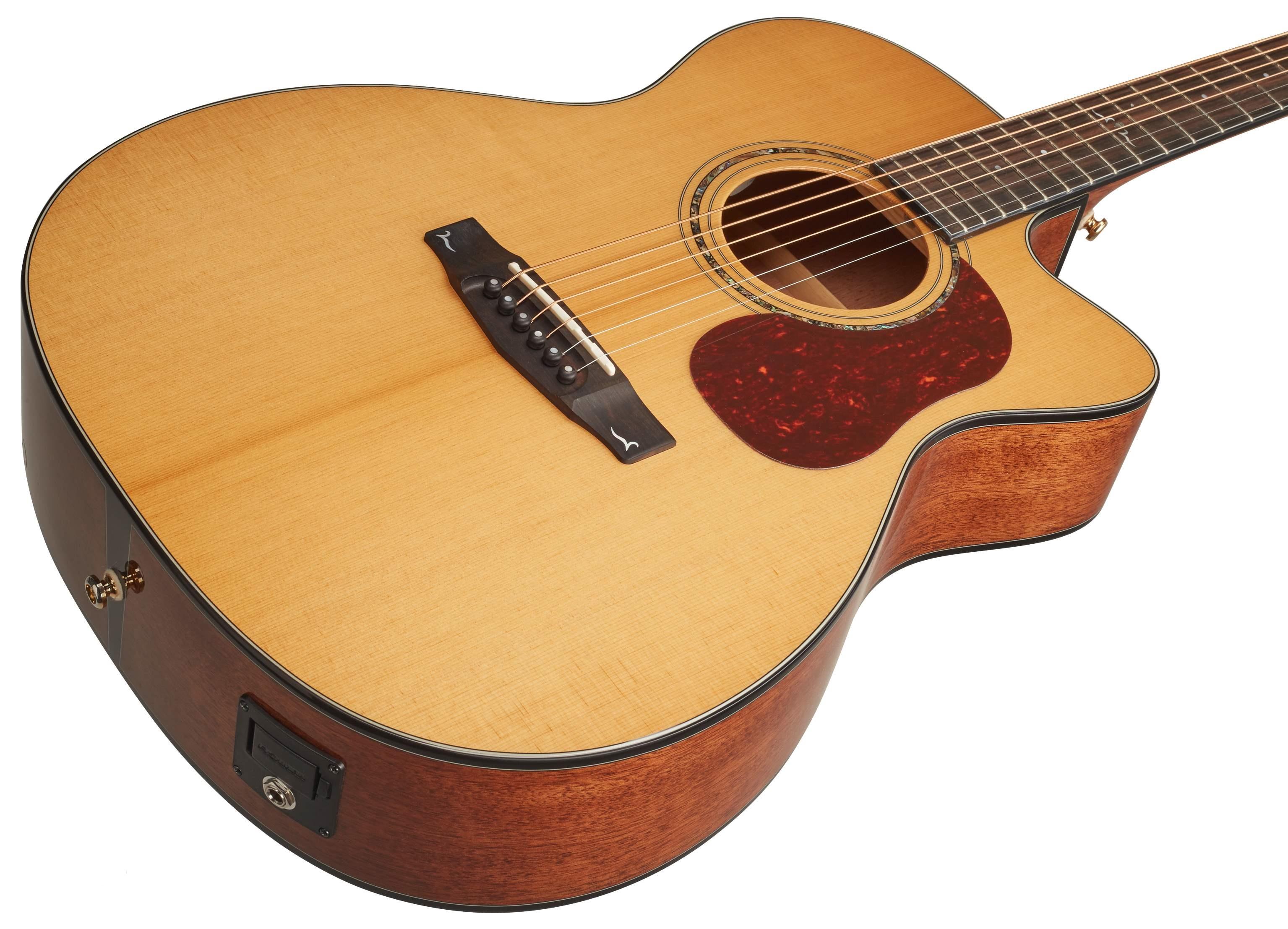 GOLD-OC6 ELECT NAT GLOSS