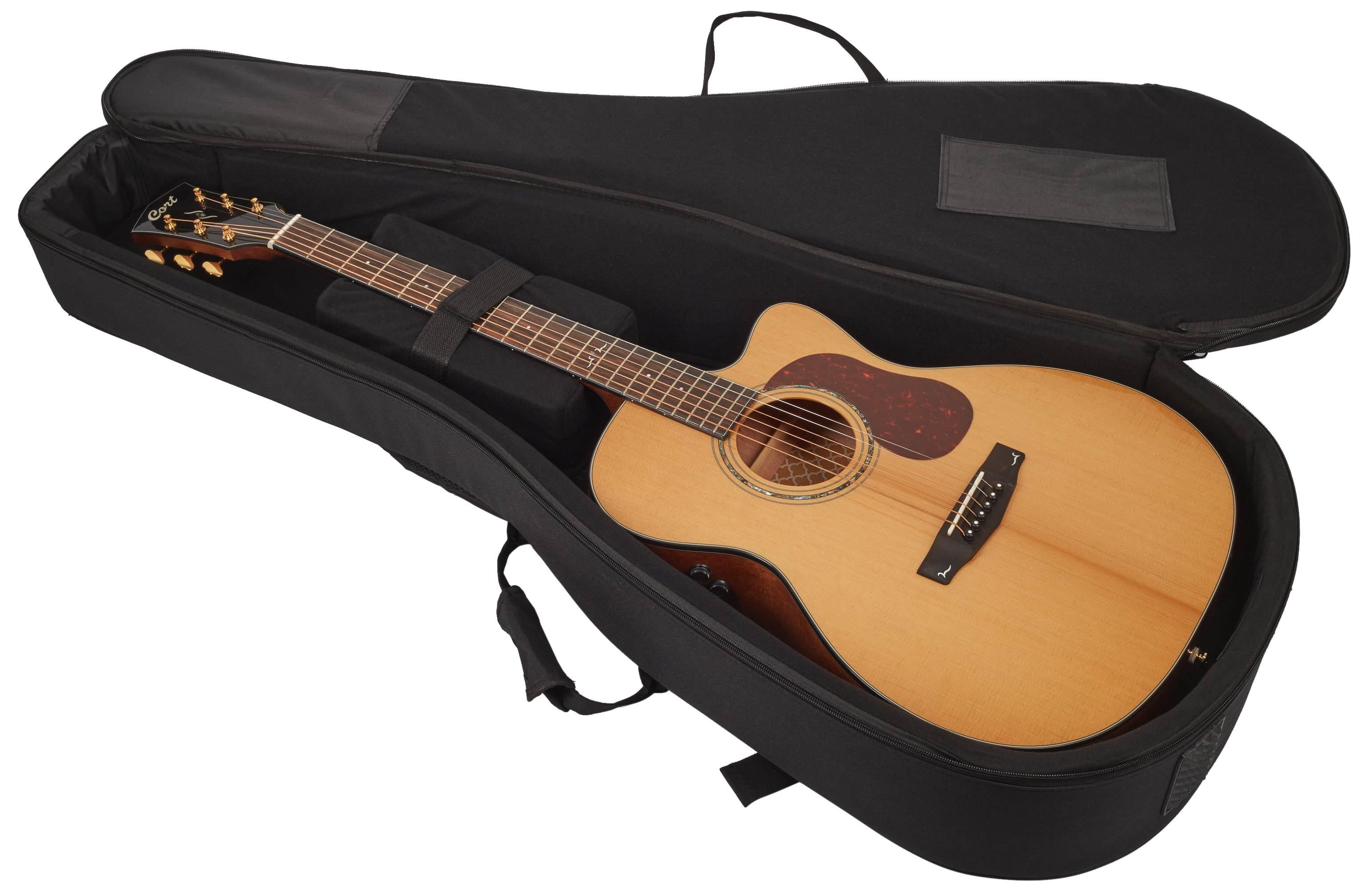 GOLD-OC6 ELECT NAT GLOSS