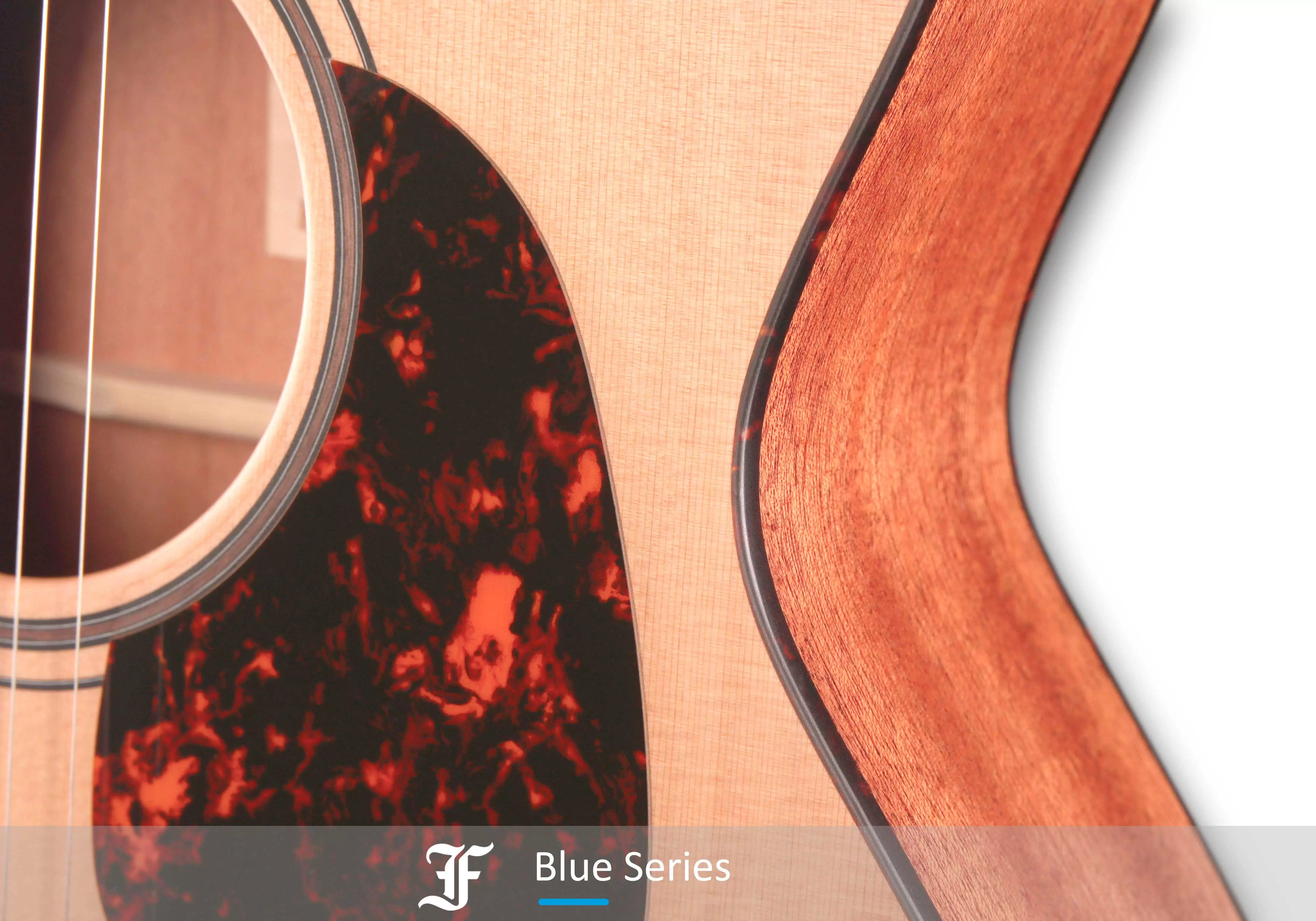 BLUE OMC-CM EAS-VTC CUTAWAY ELEC.