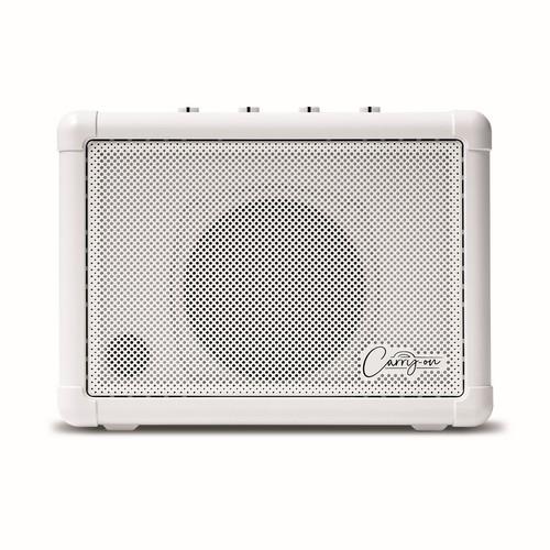 CO-SPEAKER - MINI SPEAKER