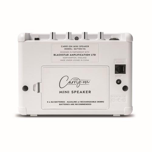 CO-SPEAKER - MINI SPEAKER