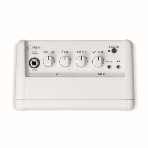 CO-SPEAKER - MINI SPEAKER