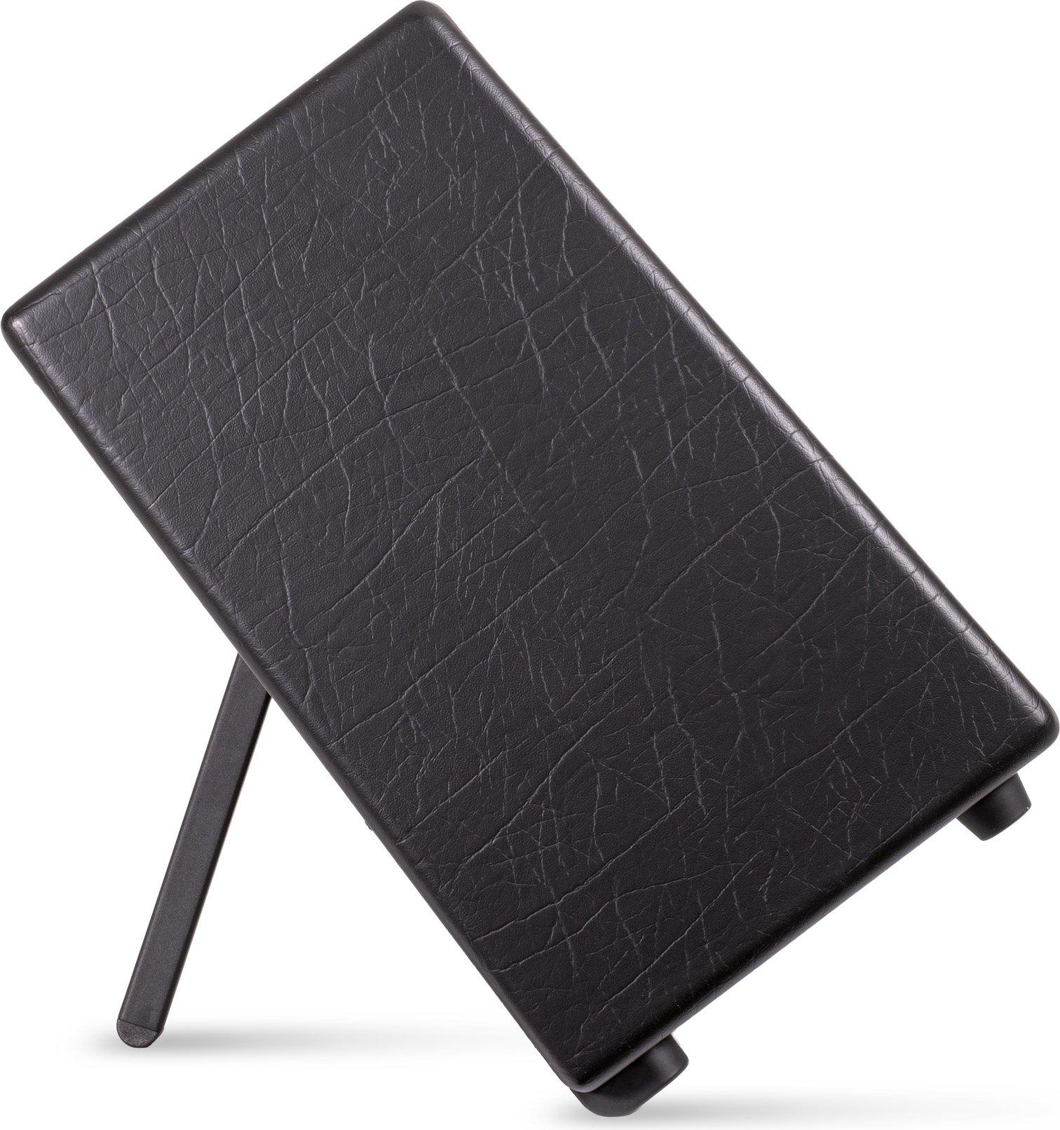 ARTIST FR SPECIAL 100W 1X12