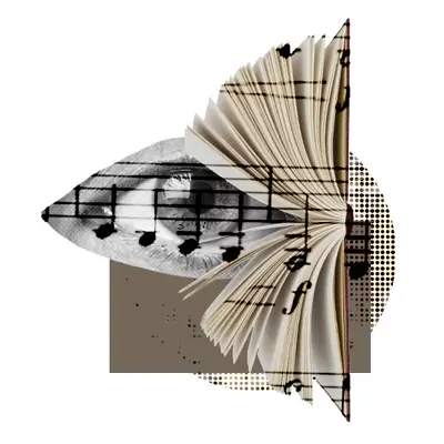 Libros, Partituras y DVDs