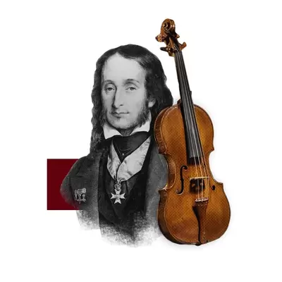 Instrumentos de Arco